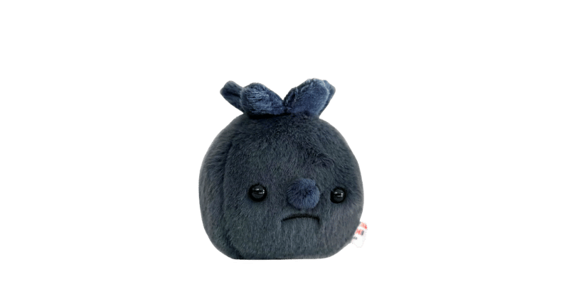 Forgotten Blueberry Merch